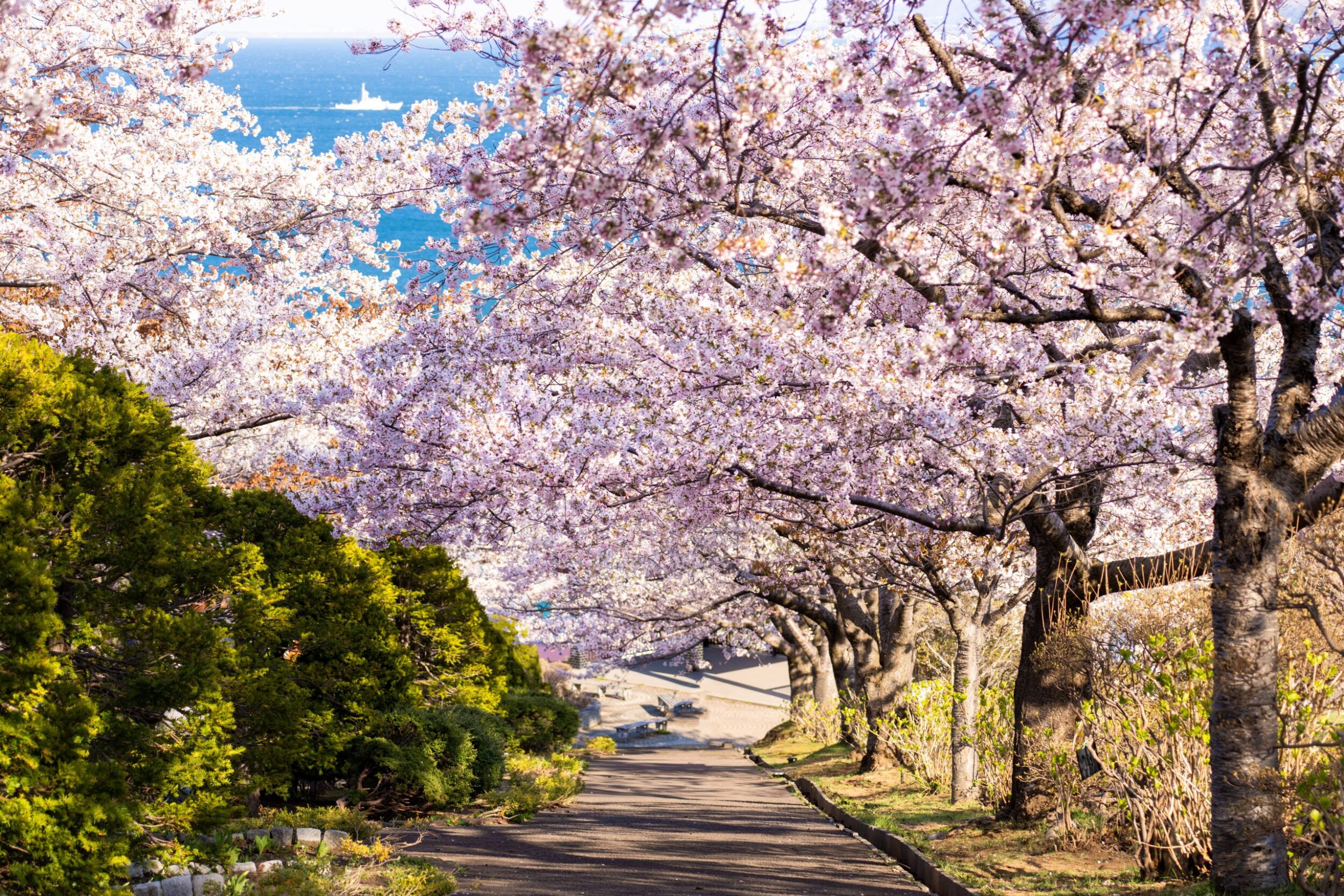 Sapporo Suburb Bus Tour